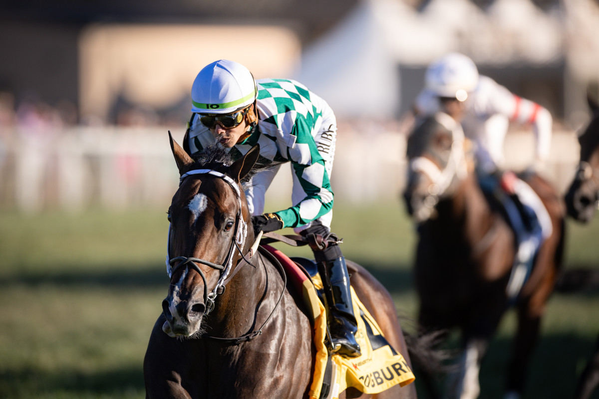 Stallion Share In Record-Setter Cogburn To Be Offered At Keeneland ...