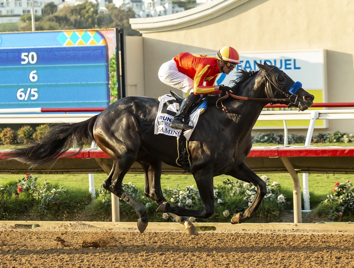 Grade 1 Winner Gaming Looks To Get Back On Track In Santa Anita's