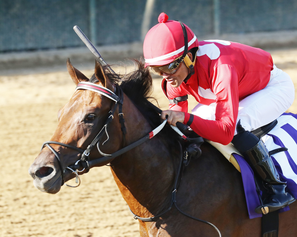 Jonathan's Way May Be 'Close To The Early Pace' In Kentucky Jockey Club ...