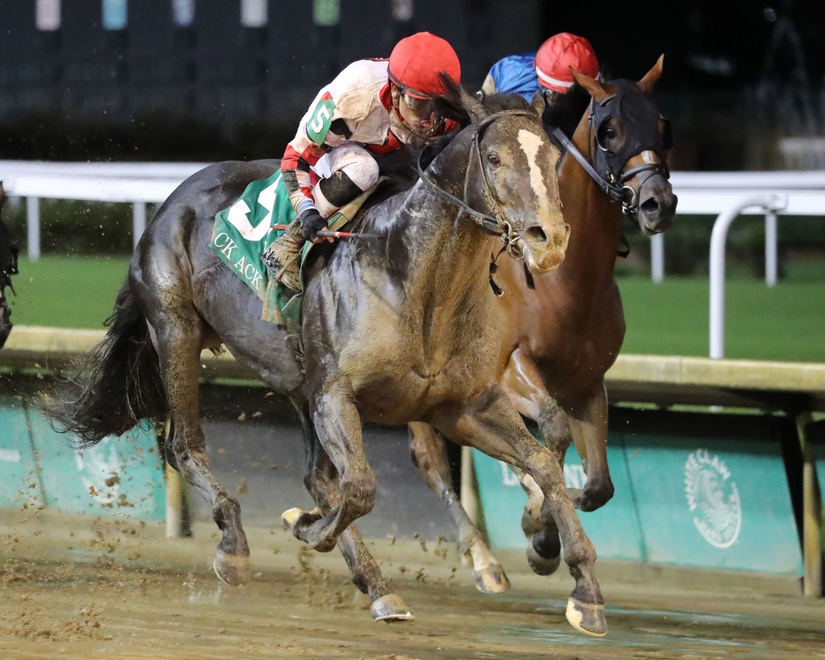 Three Technique Earns BC Dirt Mile Berth With Sloppy Track Win In Ack