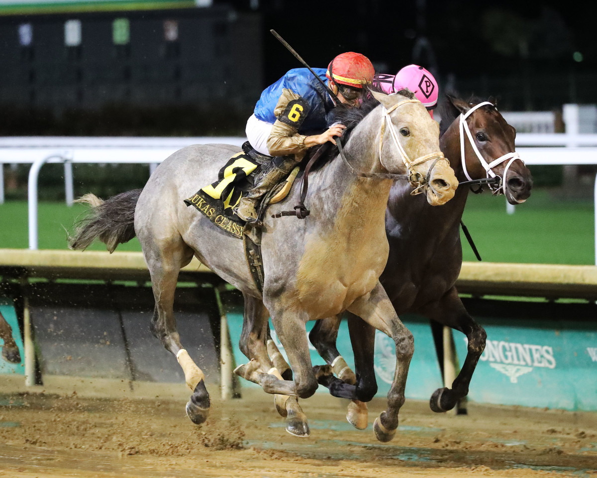 HIT WIN VICTORY II OF HORSE RACE