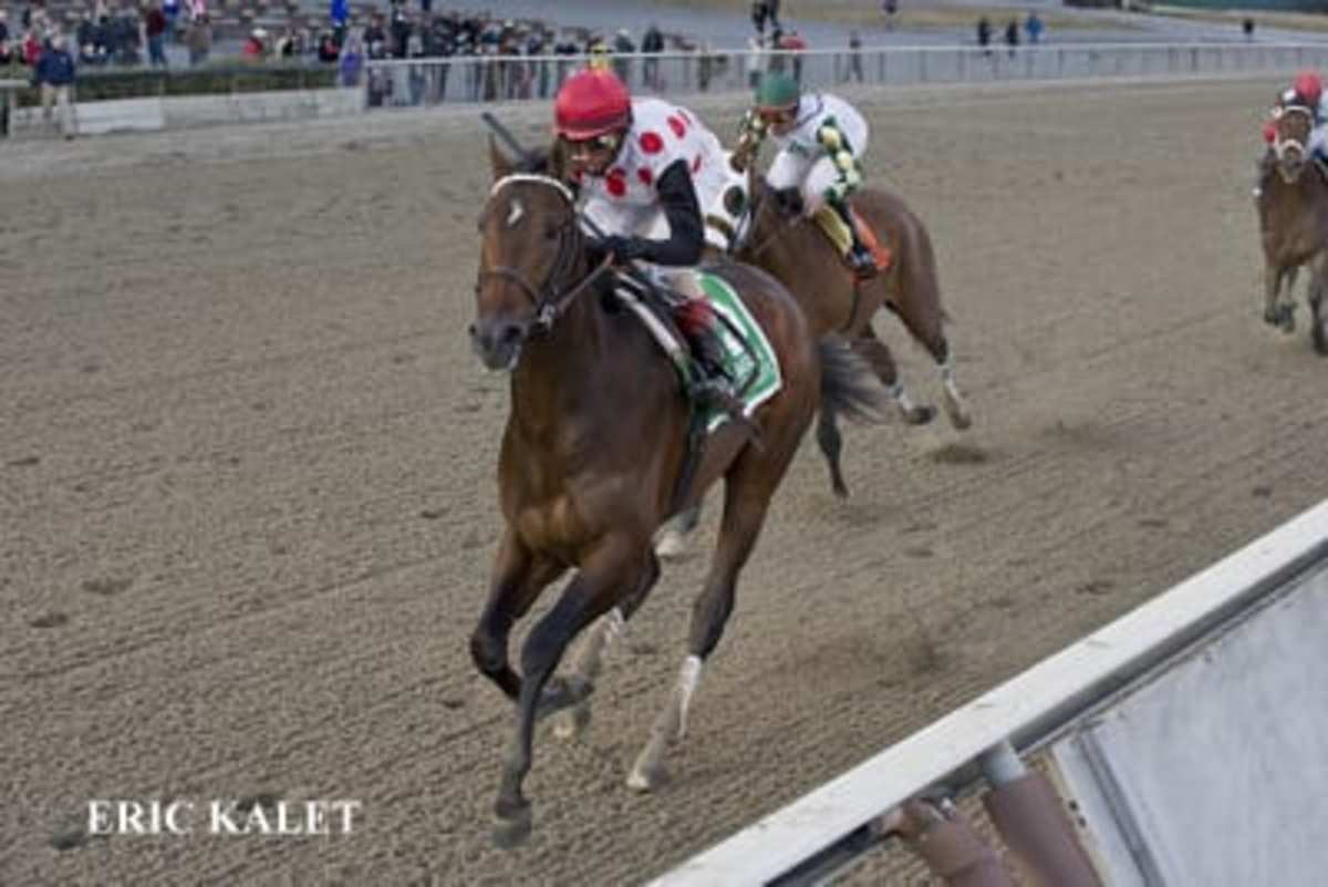 Remsen Stakes To Honor And Serve goes gate to wire at Aqueduct