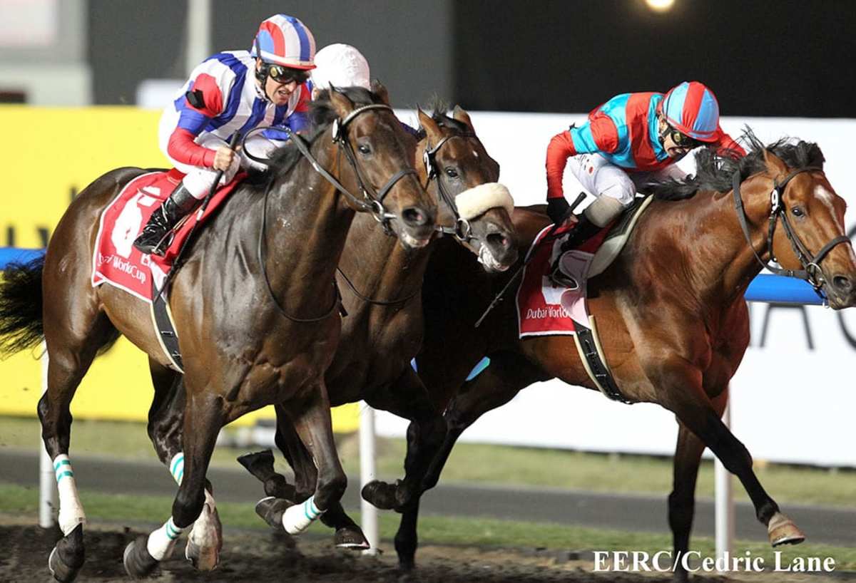 2011 DUBAI WORLD CUP Victoire Pisa 記念品 Dubai World Cup winner Victoire Pisa retired - Paulick