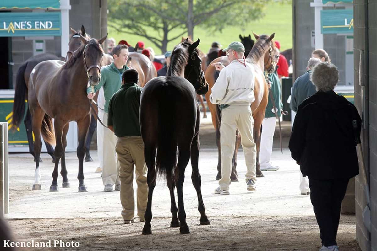 Keeneland Yearling market still robust as sale enters its final day