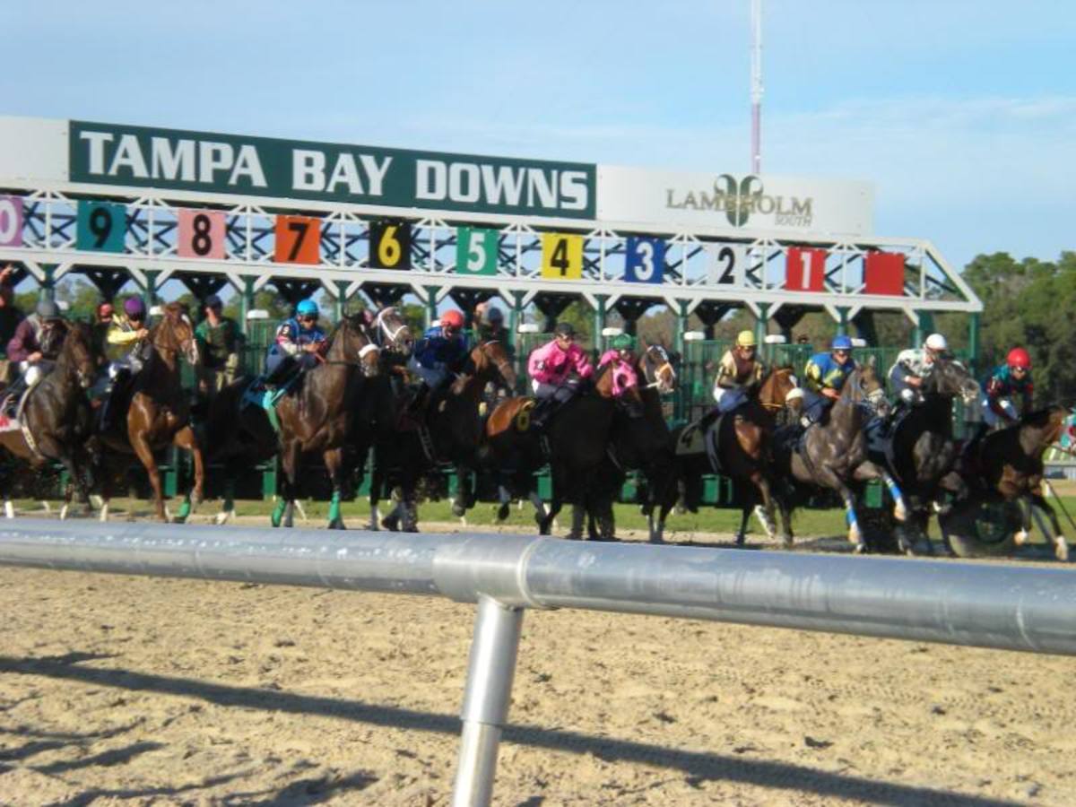 Five graded stakes highlight 20122013 Tampa Bay schedule Paulick