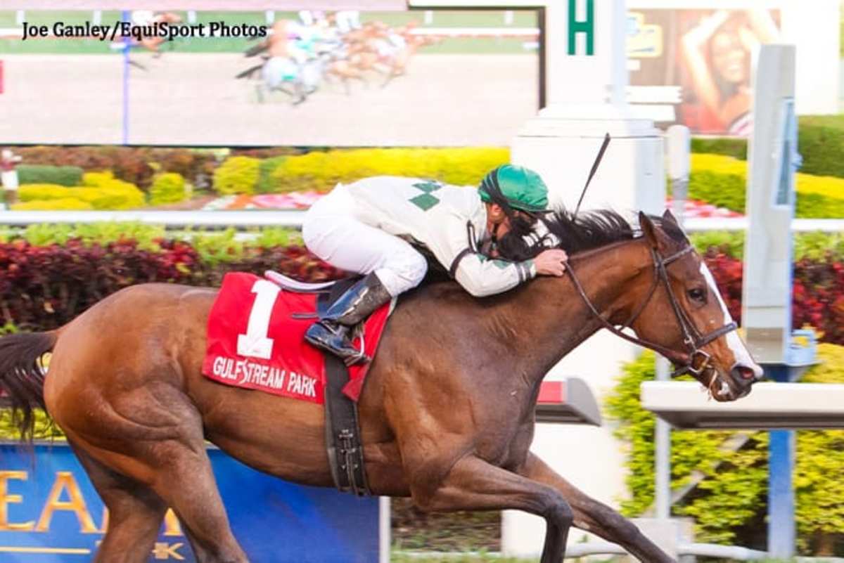 Pomeroys Pistol guns them down in the Sugar Swirl Paulick Report