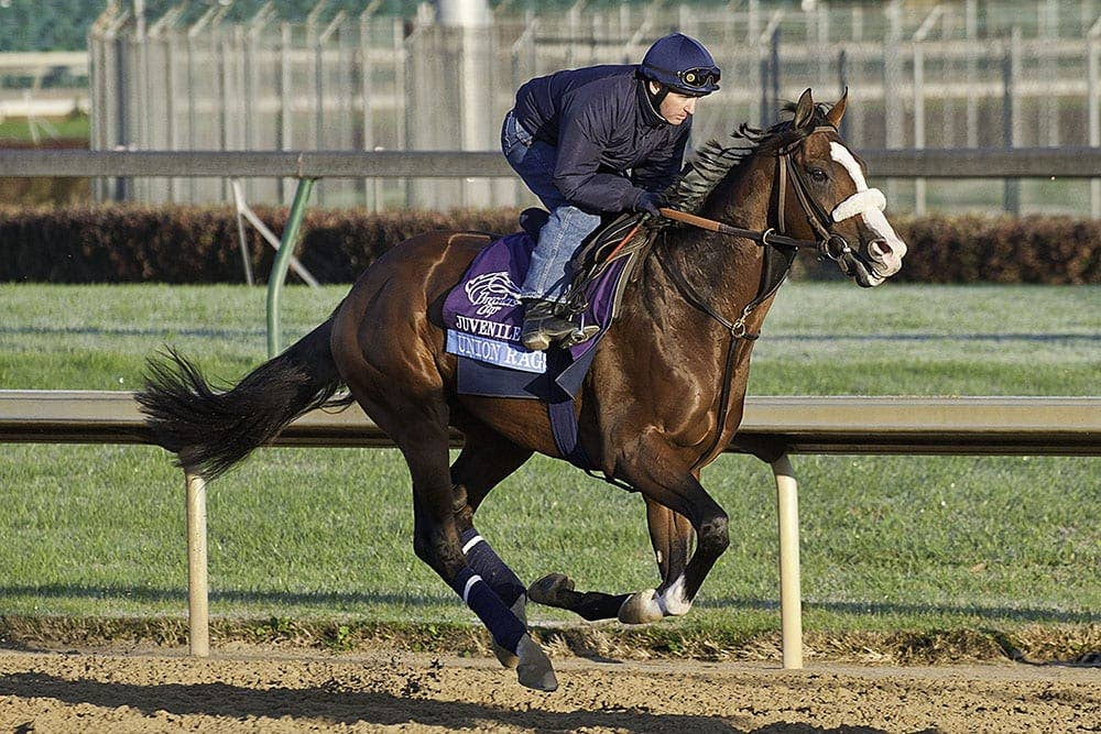 Derby contender Union Rags resumes light training - Paulick Report ...