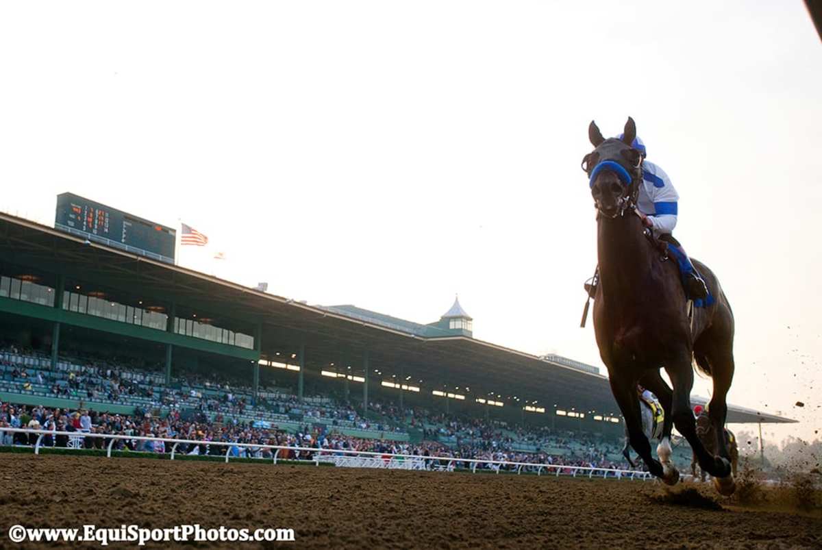 Auerbach Trainer ‘Profiling’ A Way To Investigate Medication