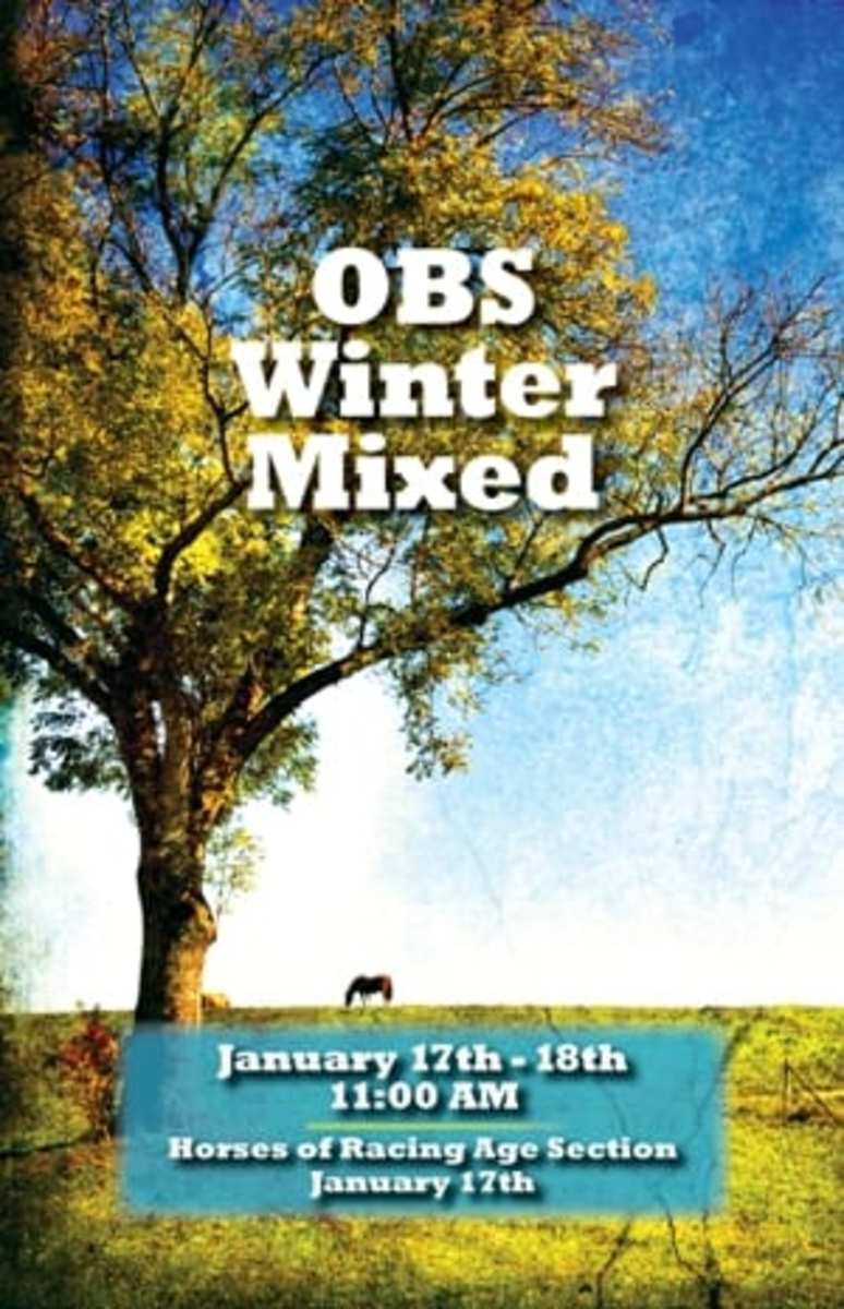 OBS Winter Mixed sale catalog now available online Paulick Report