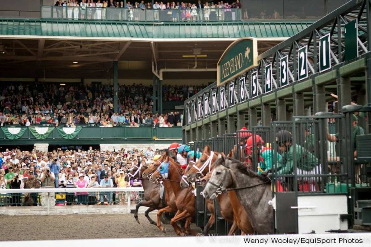Keeneland Revelers Can Enjoy Tailgating Fit For a King of 'The Hill