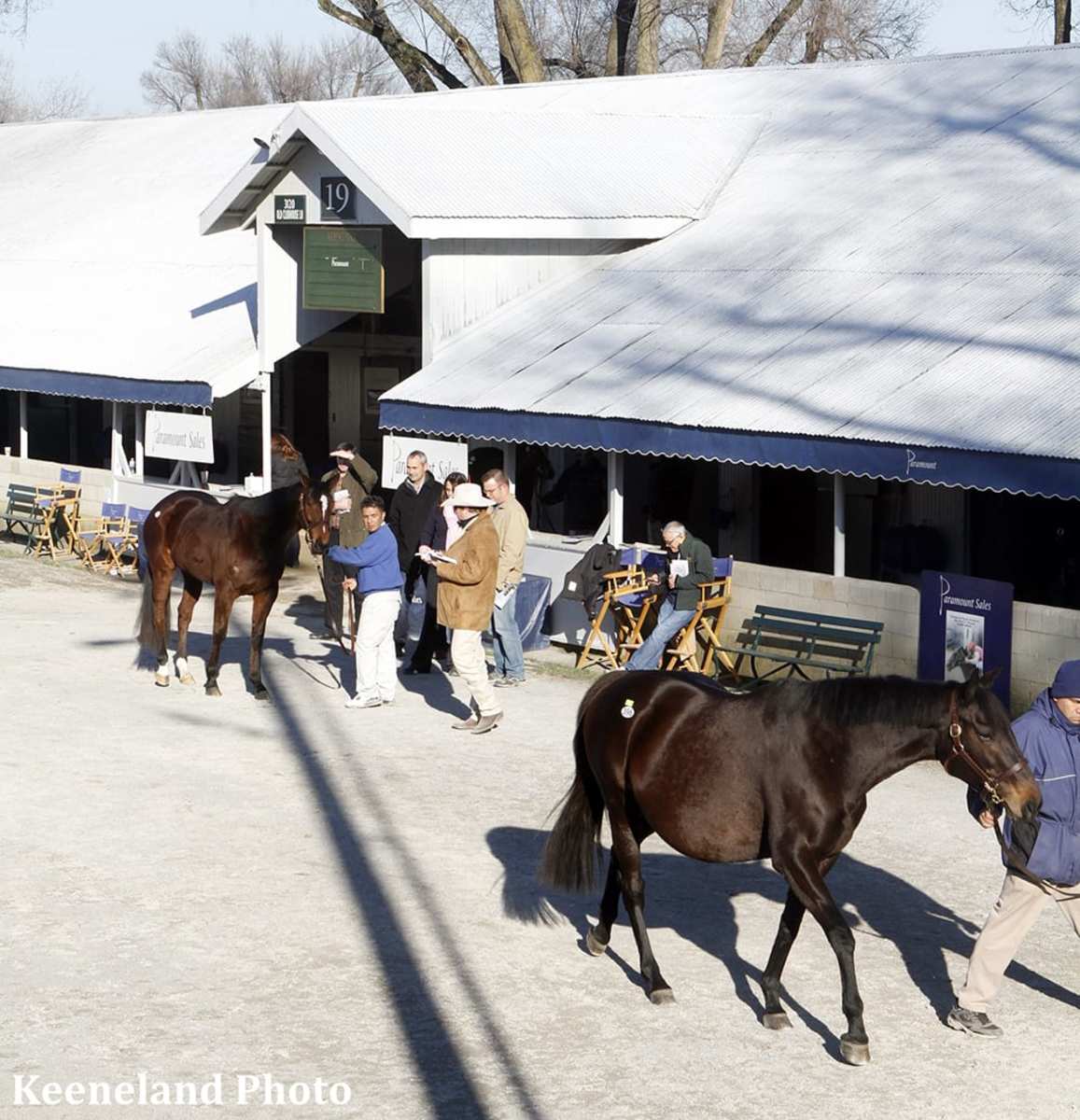 Keeneland catalogs 1,893 horses for January sale Paulick Report