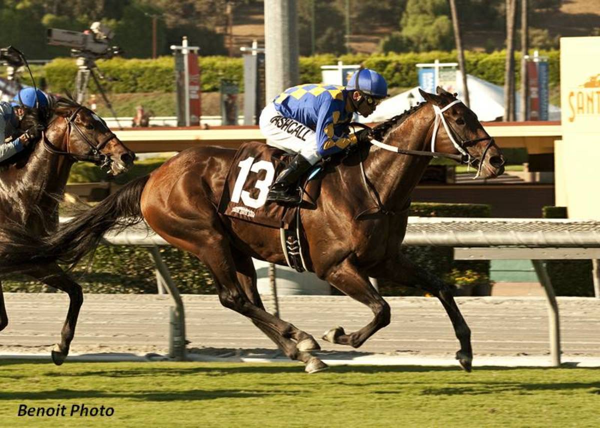 Unbridled's Note Hopes to Defend Title in Eddie D. Stakes Paulick