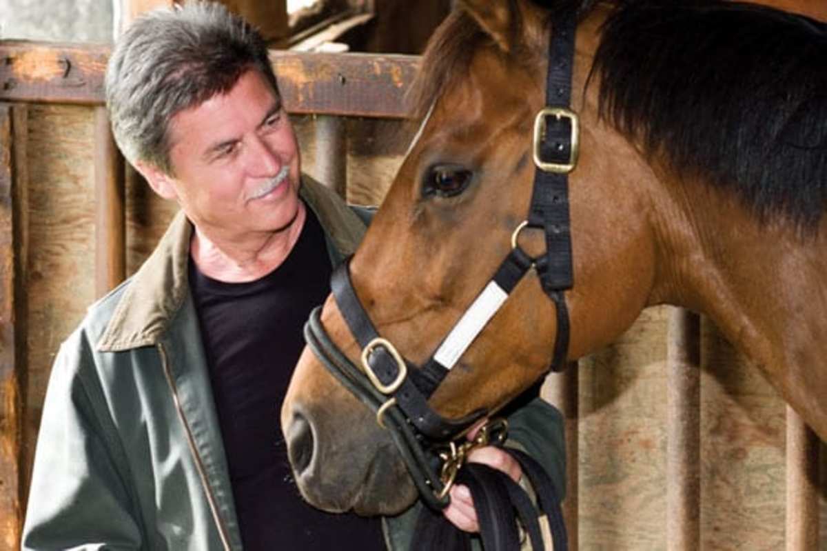 Three Chimneys presents Good News Friday A Different Kind of War Horse