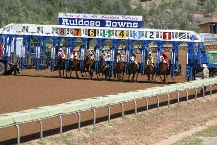 Ruidoso 2024 New MexicoBred Yearling Sale Catalog Now Online Paulick