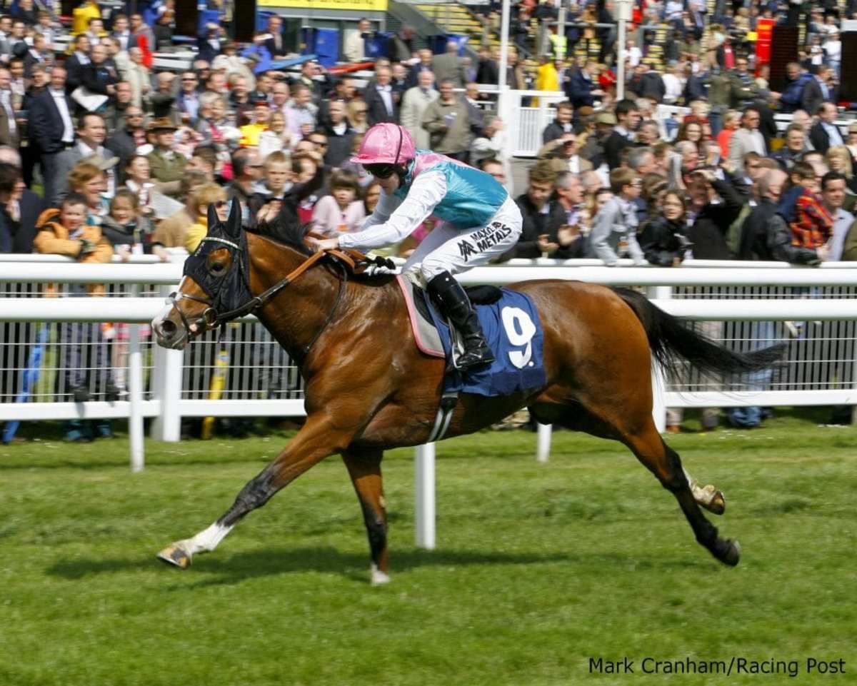 Frankel's little brother breaks maiden in 2nd start - Paulick Report ...