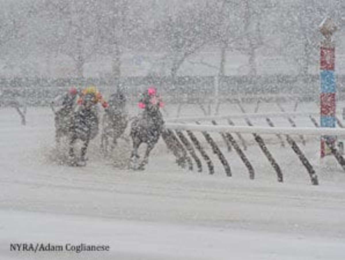 Saturday racing cancelled at aqueduct due to snow paulick report