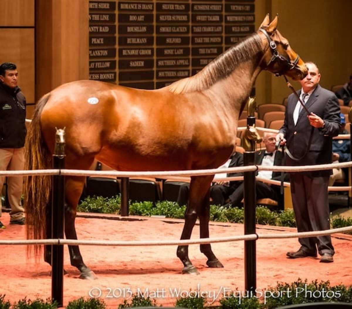 $5.2M F-T Sales Topper Betterbetterbetter Produces Filly by War Front ...