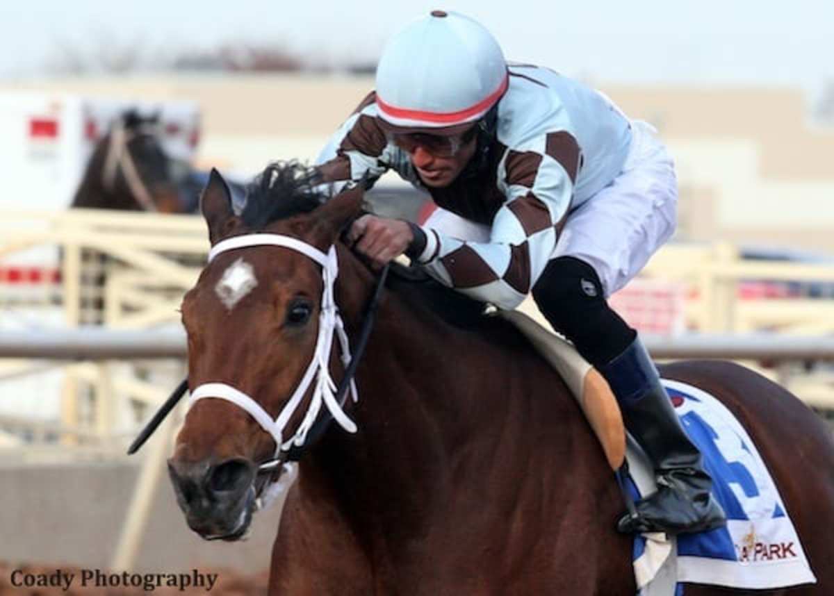 Zia Park Concludes Historic 2013 Season Paulick Report Shining