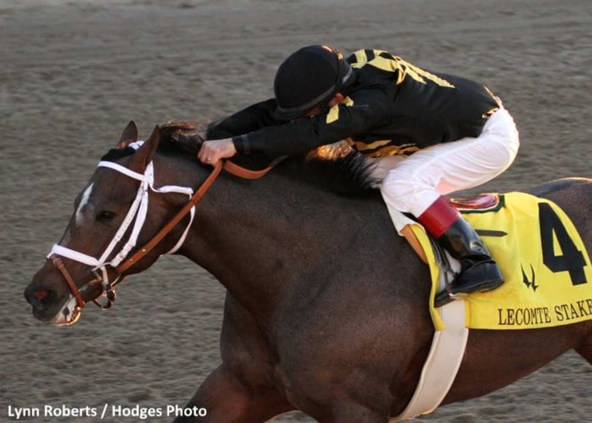 Brad Kelley to race, breed horses under Calumet Farm banner Paulick