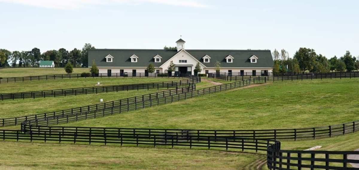 Padua Stables' Kentucky farm sold to Brazil's Borges Torrealba family ...