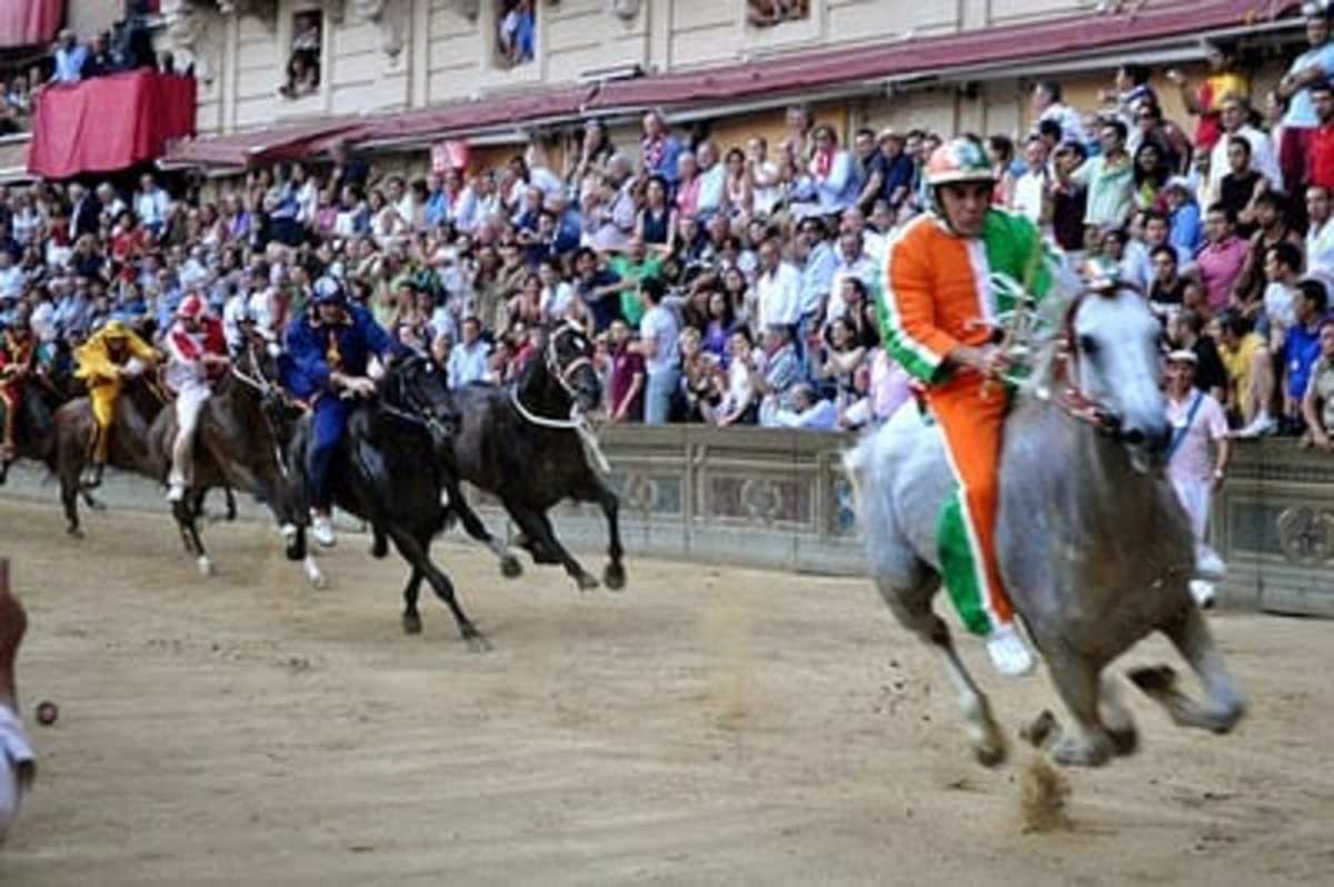 Italy: Pressure Mounts to End Palio Races After Several Horses Die ...