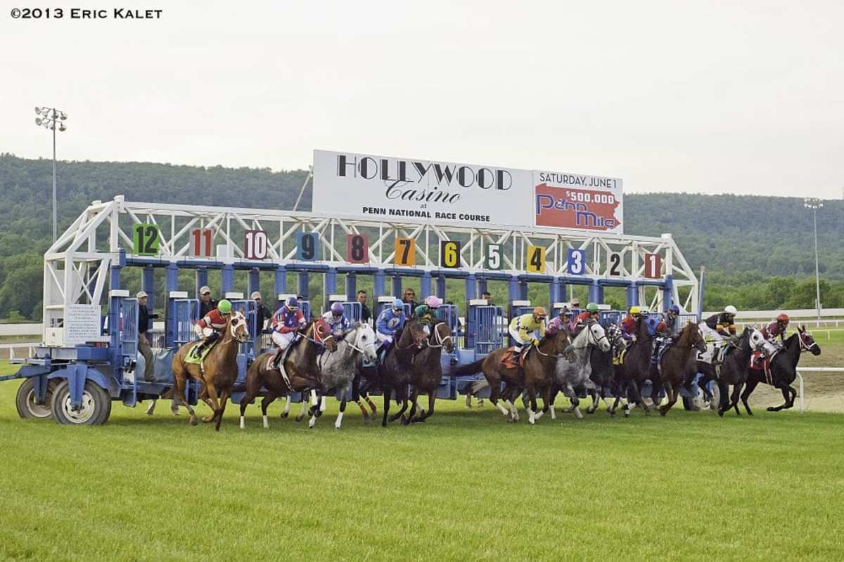 Pennsylvania Trainer Rojas Pleads Not Guilty To Wire Fraud, Conspiracy