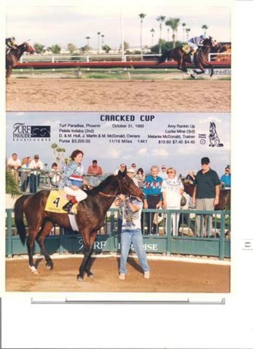 Cosequin presents OTTB Showcase Cracked Cup (a.k.a. "Crackers