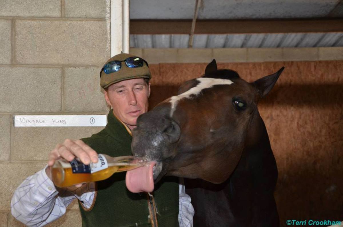 Knocking Back A Cold One: What Does Beer Do For Horses? - Paulick 