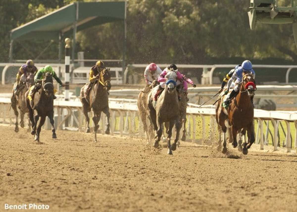 Goldencents Good As Gold in Santa Anita Derby Paulick Report Latest news and commentary from