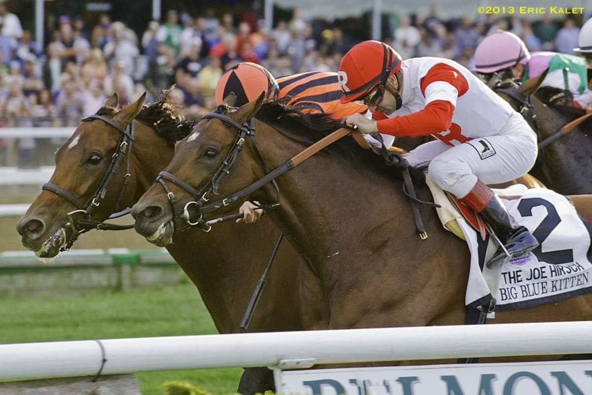 Little Mike Holds Off Big Blue Kitten to Win Joe Hirsch Turf Classic