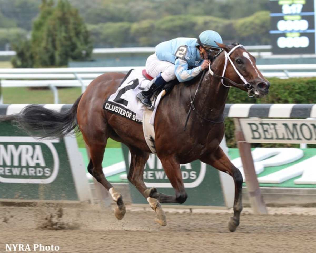 Thoroughbred Pedigrees Abound In All American Futurity Trials Paulick