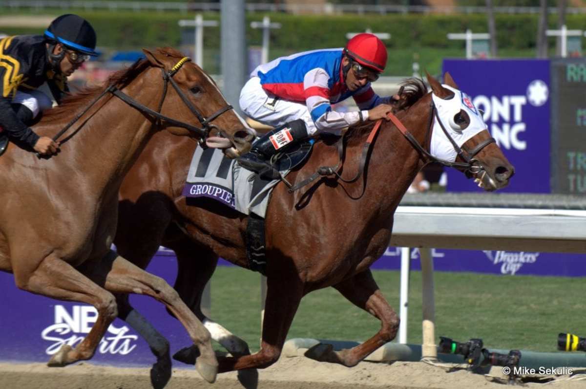 'Full of Fire' Groupie Doll Gallops at Gulfstream - Paulick Report ...