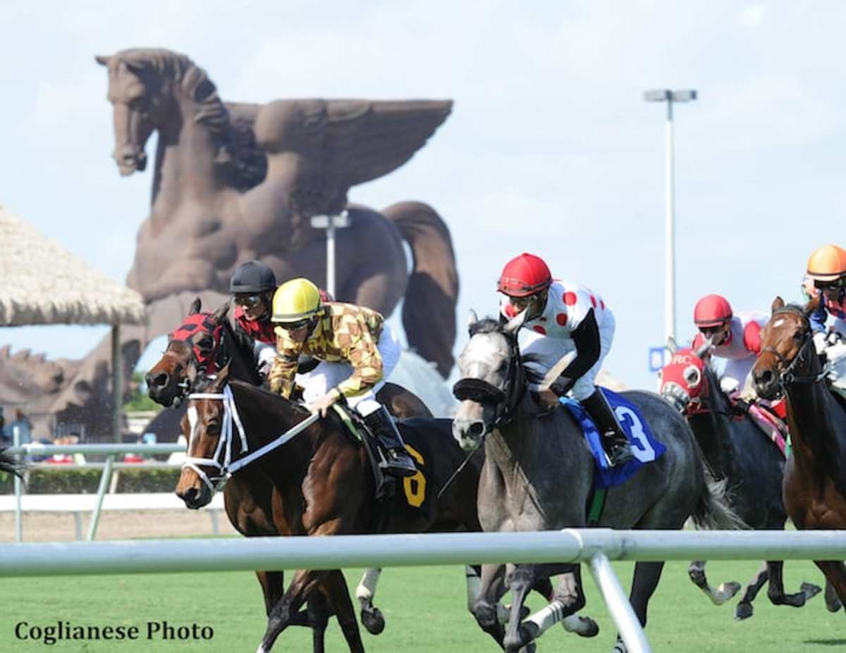 Pegasus World Cup Tops 28.6M Stakes Schedule At Gulfstream Park