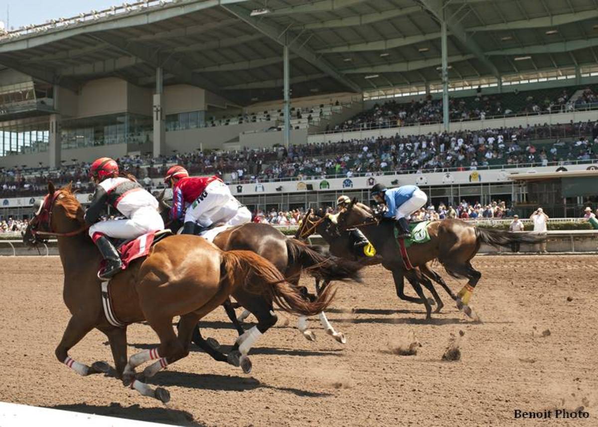 Five Stakes Worth 700,000 Highlight Los Alamitos' Winter Thoroughbred