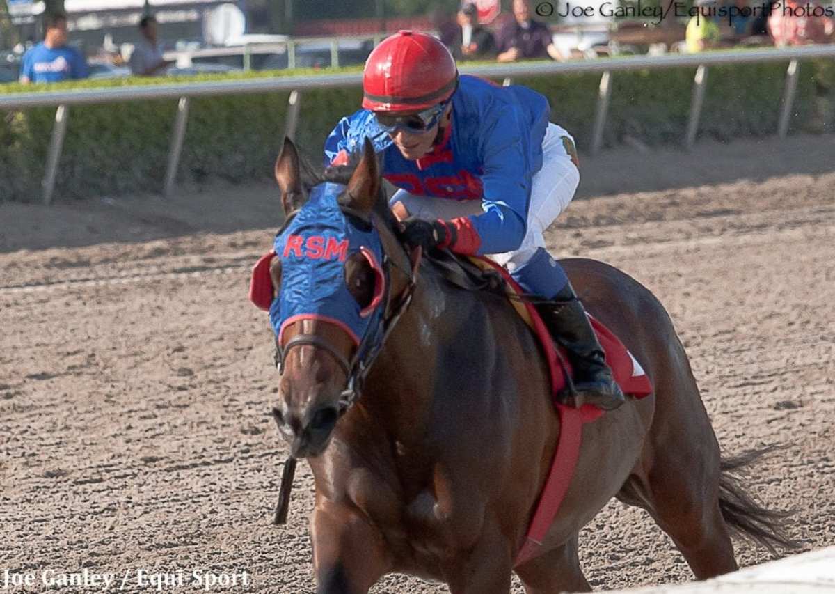 Social Inclusion Upsets Honor Code's 2014 Debut Paulick Report