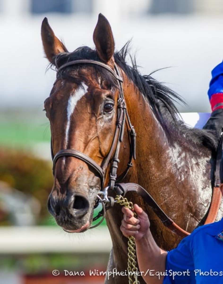 Social Inclusion to Face Ten in Wood Memorial Paulick Report