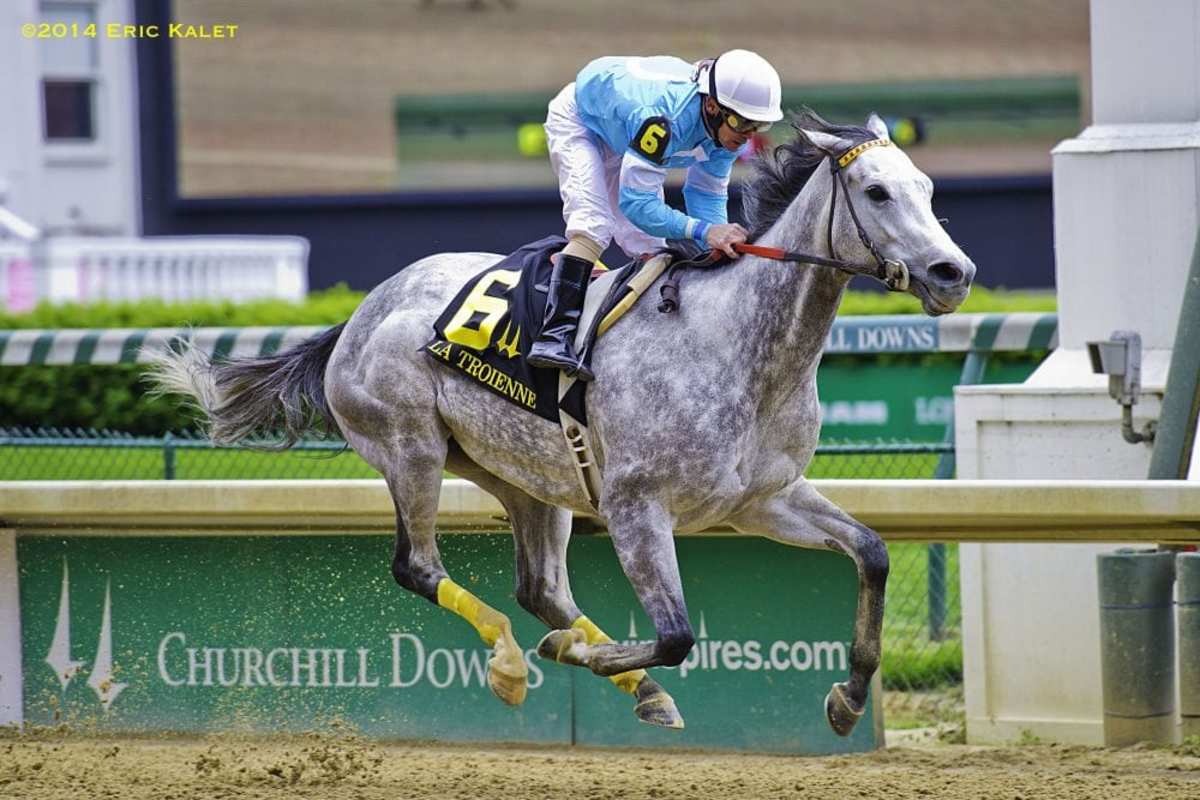 On Fire Baby Looks to Bounce Back Winning Form in Locust Grove ...