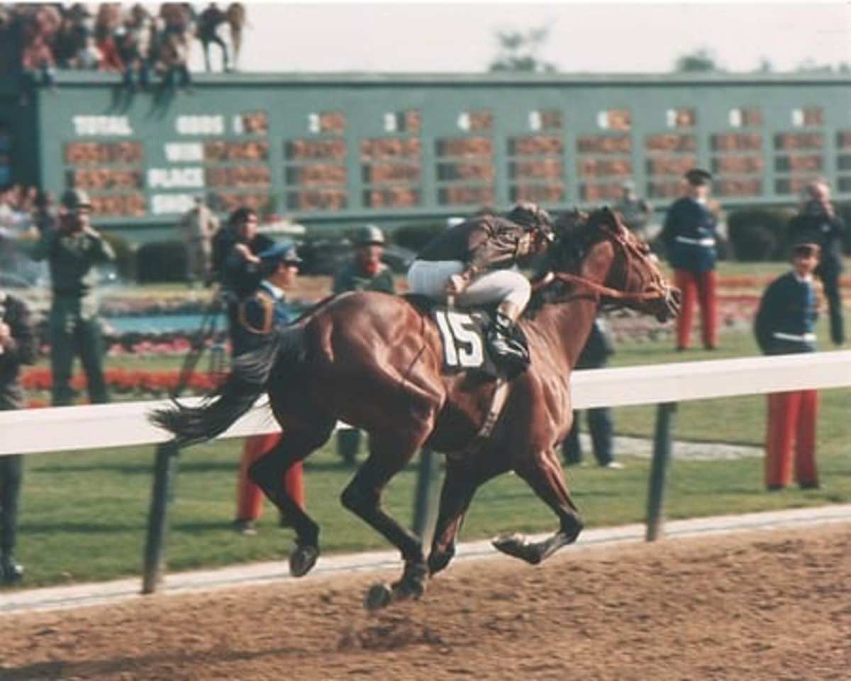 Derby History: 1971's Cañonero II a Surprise, Not an Upset - Paulick ...