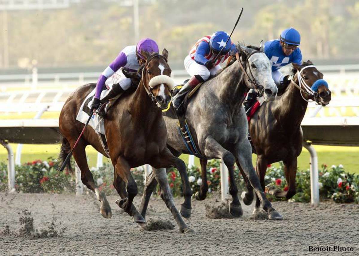 Strong Numbers Posted For Start Of Del Mar S Bing Crosby Season   More Complexity Racing At Del Mar 