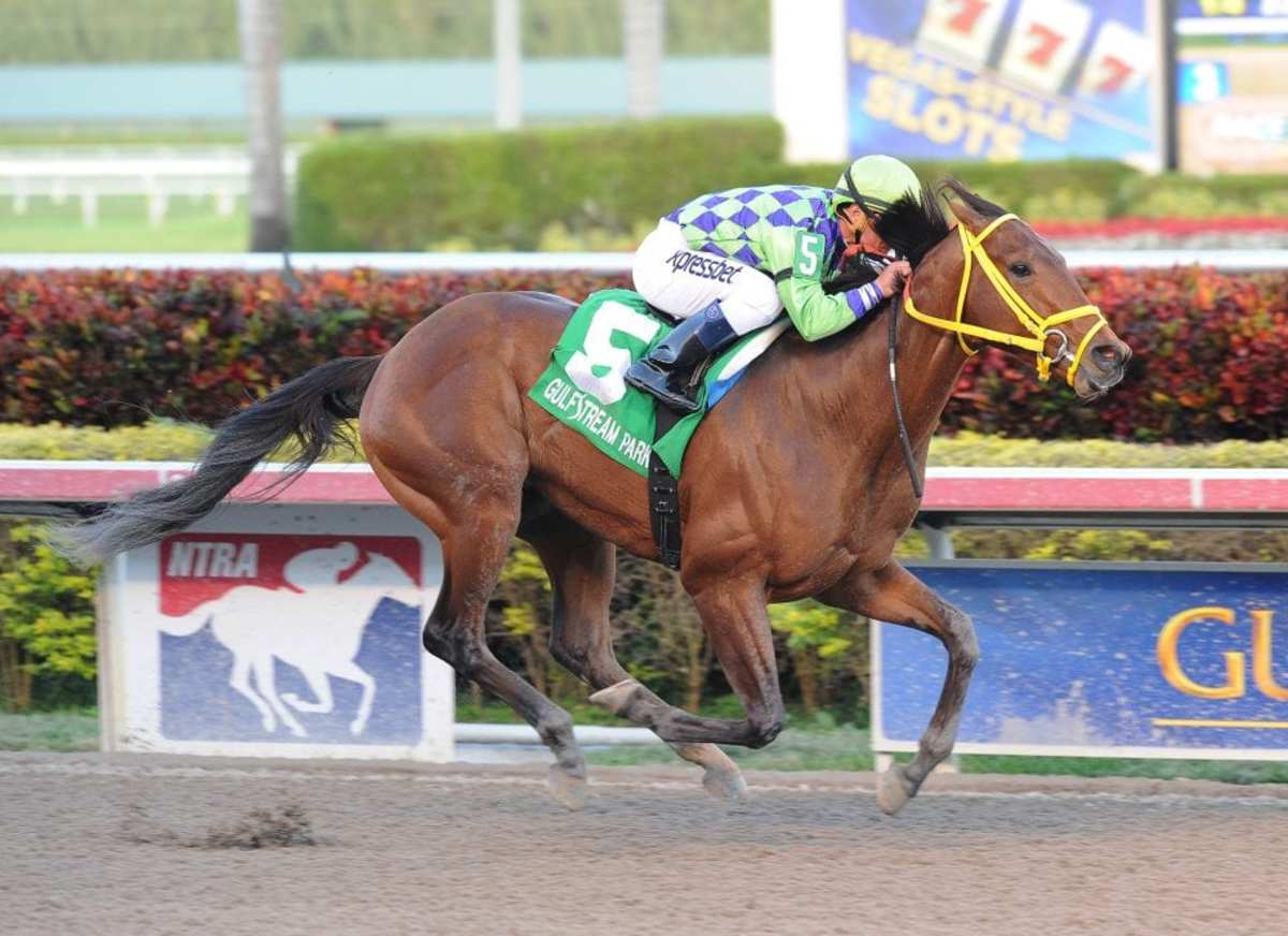 Wildcat Red, Work All Week Fire Bullet Works For Smile Sprint - Paulick ...