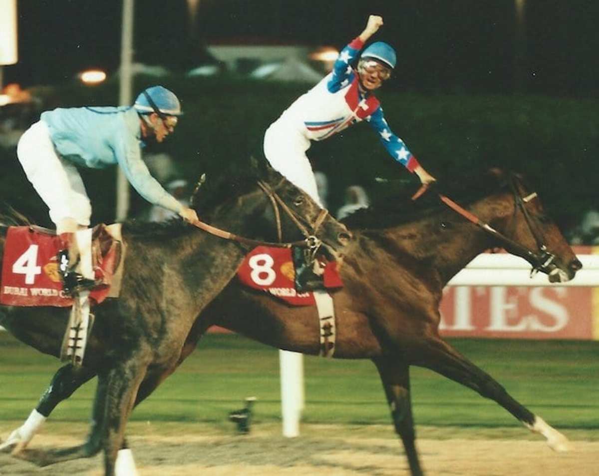 Two-Time Horse of the Year Cigar Dead at 24 - Paulick Report