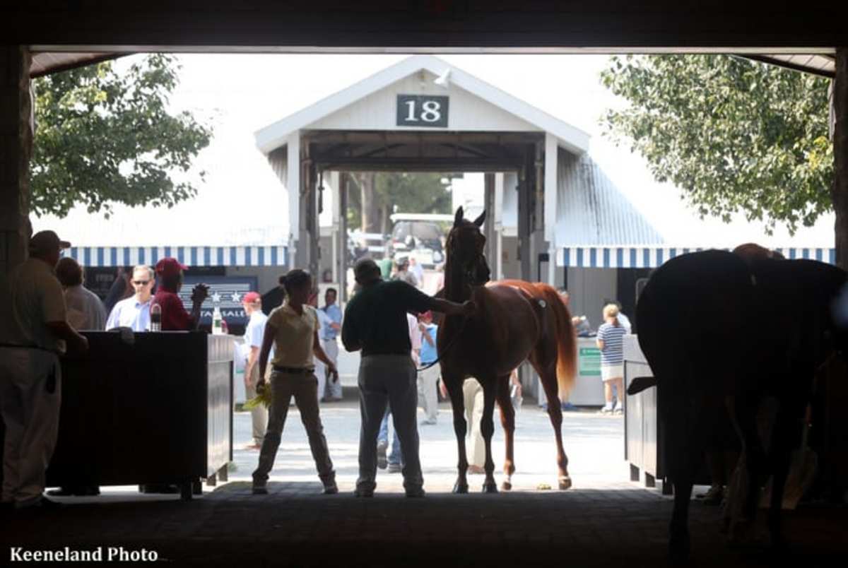 Showing Schedule Released for Keeneland September Book 1 Paulick