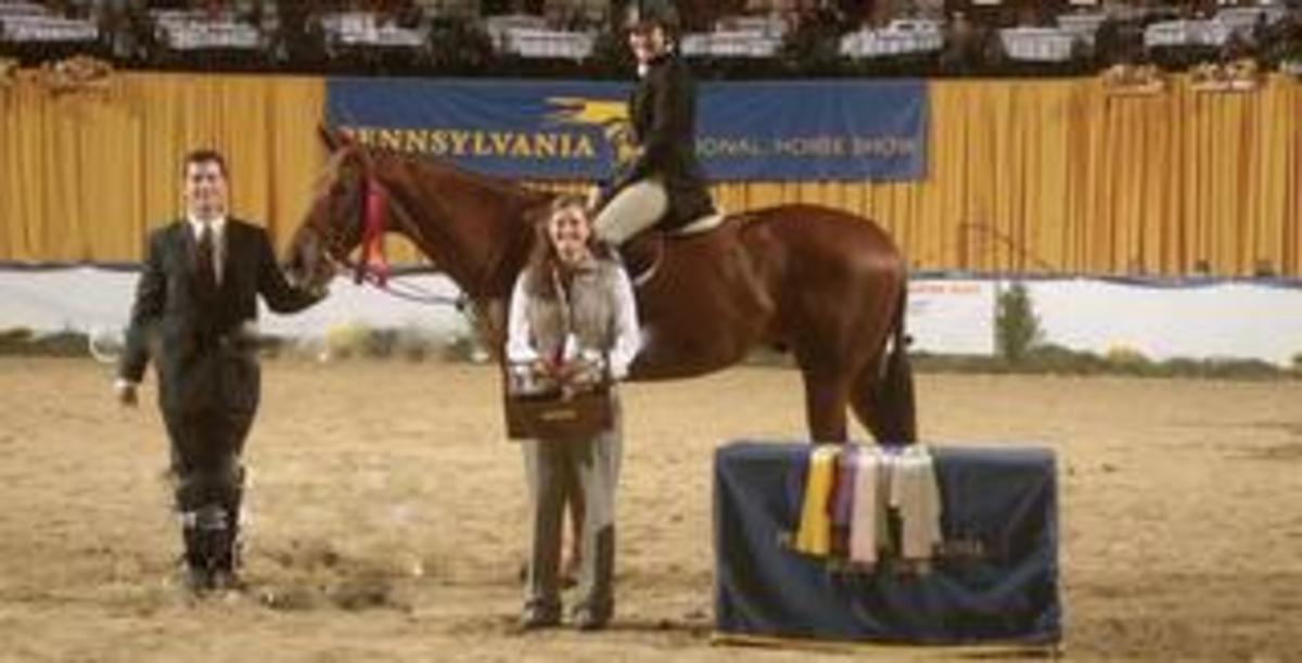 Cosequin presents OTTB Showcase Taking on the Warmbloods Paulick