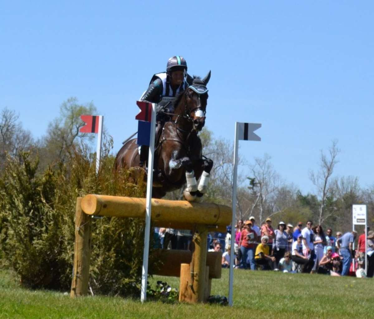 From the Racetrack to Rolex OTTBs at Eventing s Highest Level