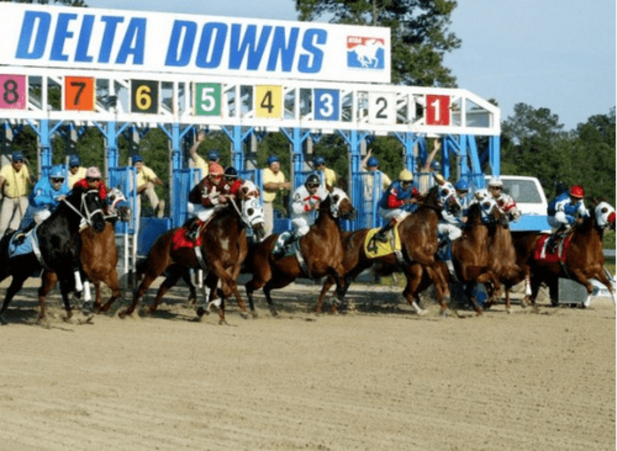 Aug. 16 Deadline For Delta Downs Thoroughbred Meet Stall Applications ...