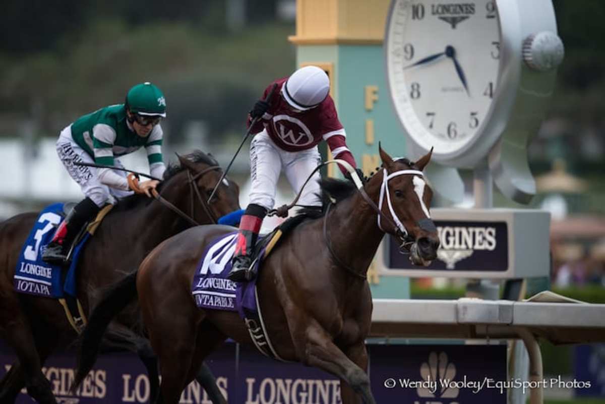 Distaff Retiring Napravnik Rides Untapable to Victory for