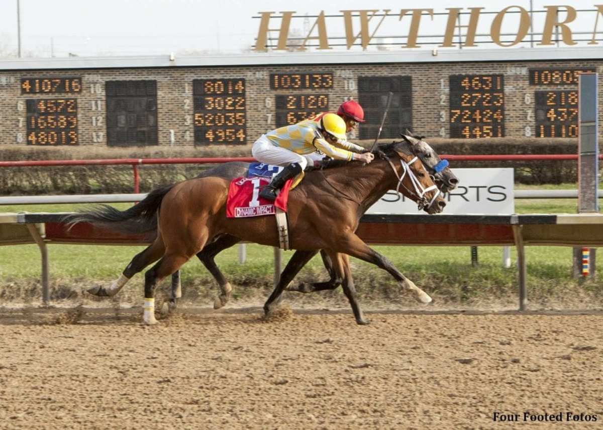 Dynamic Impact Noses Out Heavy Favorite 'Hawk' in Illinois Derby ...