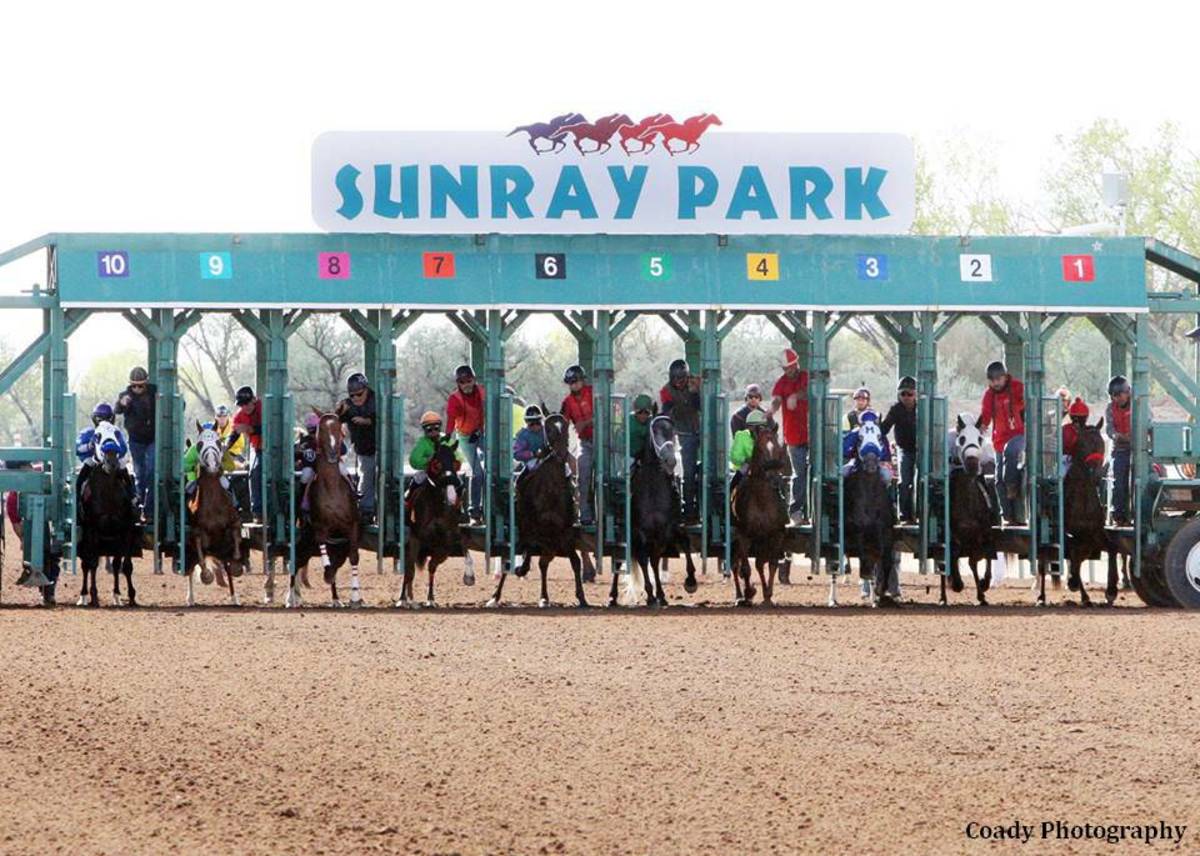 Multiple Graded StakesWinning Quarter Horse Trainer Suspended 60 Days