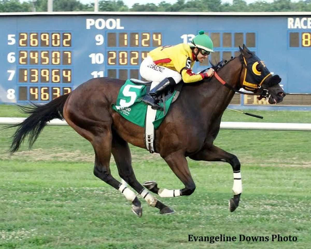 Evangeline Downs Postpones Start Of Turf Racing Paulick Report