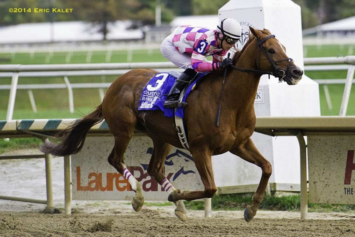 Eighttofasttocatch Scores Third Maryland Million Classic Victory